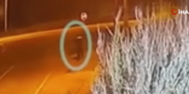 Ekran görüntüsü 2026-04-01 213848