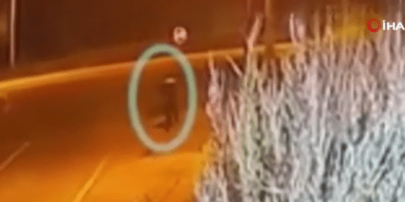 Ekran görüntüsü 2026-04-01 213848