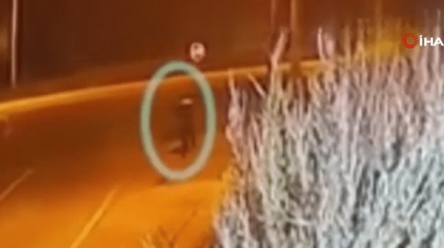 Ekran görüntüsü 2026-04-01 213848