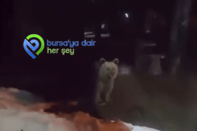 Ekran görüntüsü 2026-04-05 141112