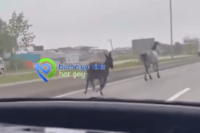 Ekran görüntüsü 2026-04-22 125410