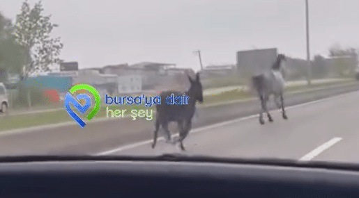 Ekran görüntüsü 2026-04-22 125410