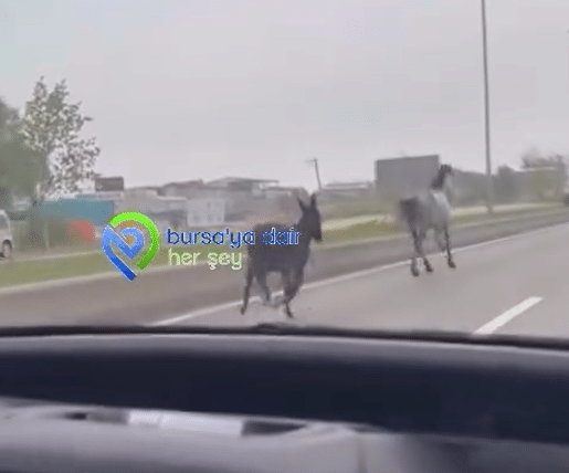 Ekran görüntüsü 2026-04-22 125410