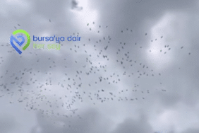 Ekran görüntüsü 2026-04-23 150044