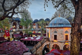 WhatsApp Image 2026-02-10 at 11.25.10444444444