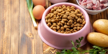 Healthy fresh pet food ingredients on dark background