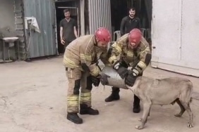HAVA FİLTRESİNE SIKIŞAN KÖPEK KURTARILDI