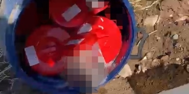 PLASTİK KUTULARDA 21 CENİN BULUNDU