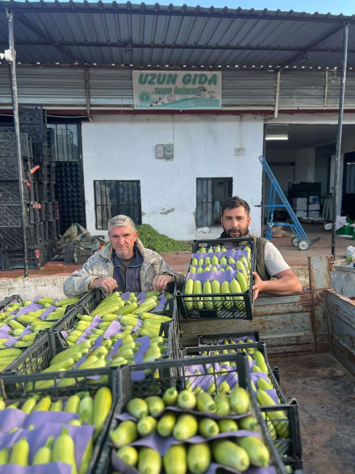 featured