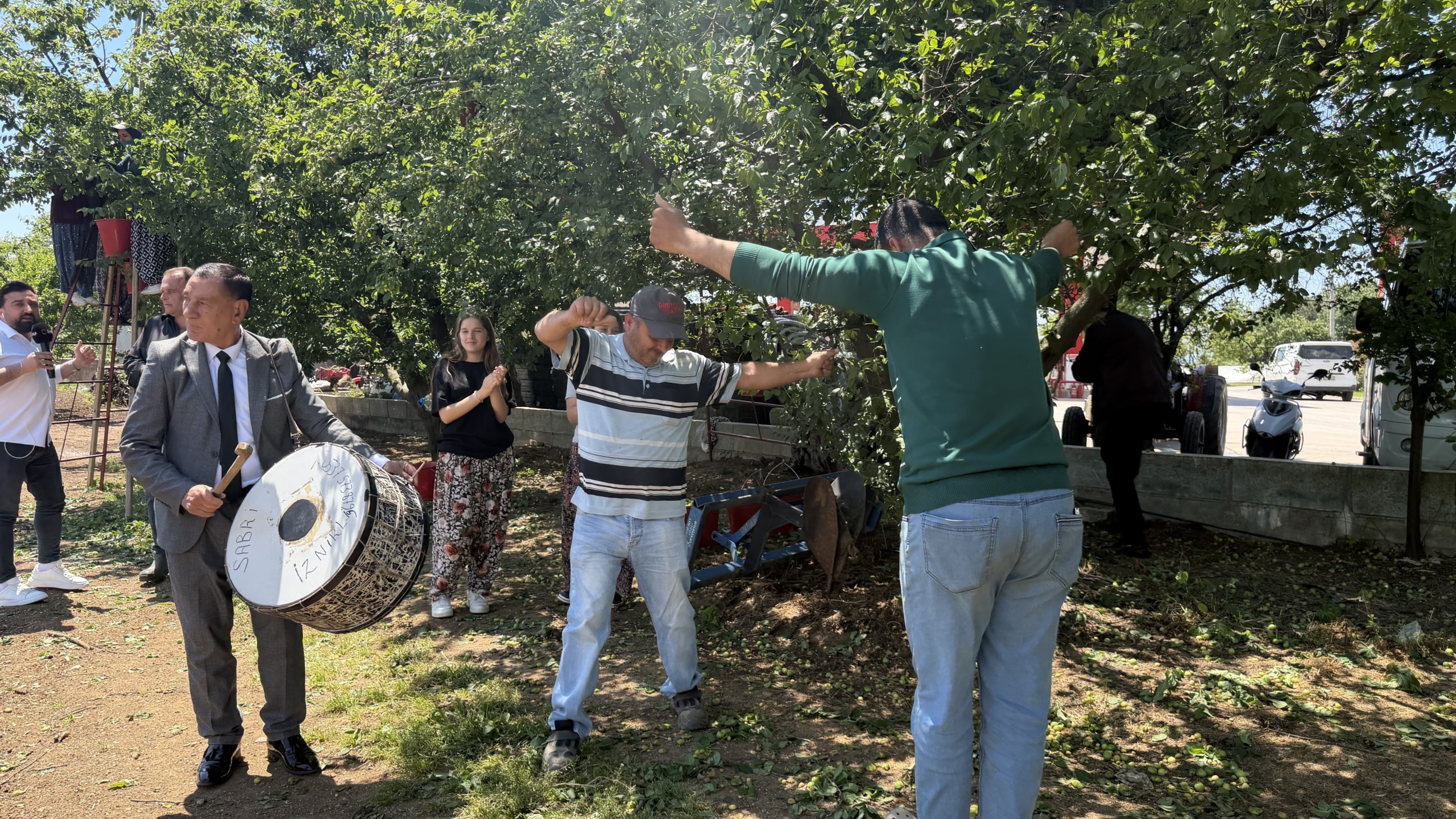 DAVULLU ZURNALI ERİK HASADI ERİKTE REKOLTE GEÇEN SENEYE GÖRE 4 KAT ARTINCA ÇİFTÇİ TARLADA DAVUL ZURNA EŞLİĞİNDE GÖBEK ATIP HASAT YAPTI