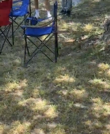 BURSA'DA SARI YILAN PANİĞİ