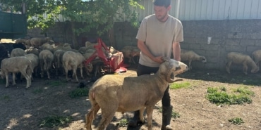 KESTİRMEK İSTEYENE KIRSALDA KURBANLIK 20 BİN LİRADAN BAŞLIYOR