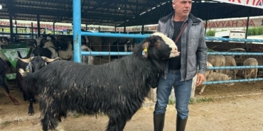 BURSA'DAKİ KURBAN PAZARININ ŞAMPİYON KEÇİSİ 47 BİN LİRADAN SATILDI