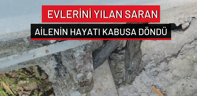 Muş’ta evlerini yılan saran ailenin hayatı kabusa döndü