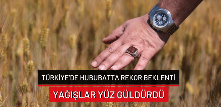 Türkiye’de hububatta rekor beklenti: Yağışlar yüz güldürdü
