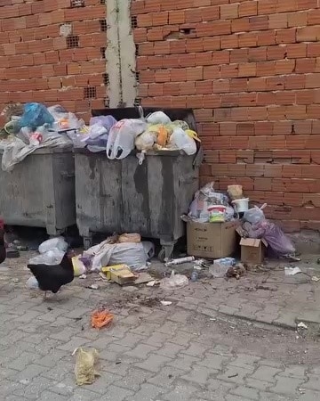 2 HAFTADIR ALINMAYAN ÇÖPLER TEPKİ ÇEKTİ