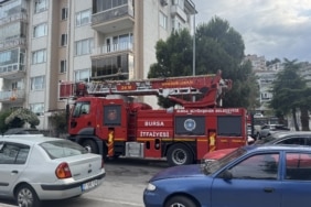 KARGA KURTARILIRKEN ARKADAŞLARI ADETA KUŞATMA YAPTI, SALDIRGAN DAVRANIŞLAR SERGİLEDİ