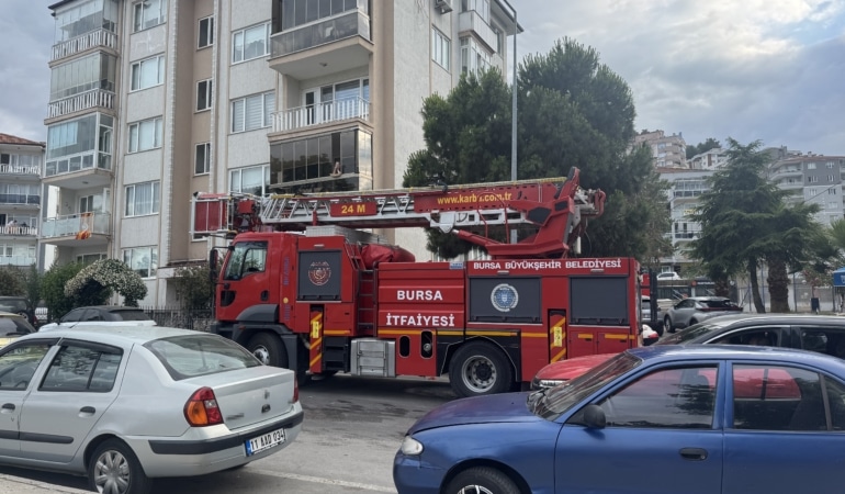 KARGA KURTARILIRKEN ARKADAŞLARI ADETA KUŞATMA YAPTI, SALDIRGAN DAVRANIŞLAR SERGİLEDİ