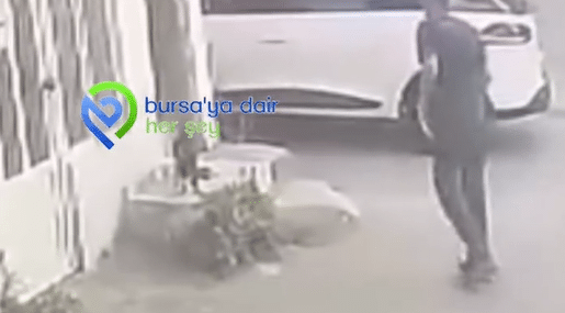 Ekran görüntüsü 2026-06-10 105507