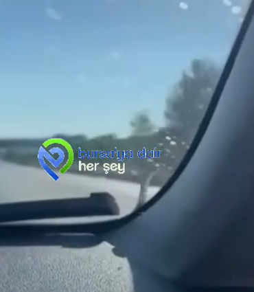Ekran görüntüsü 2026-06-23 105042