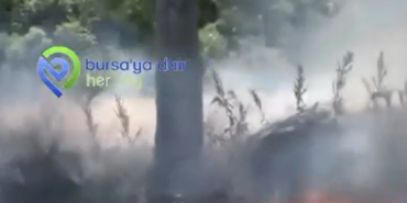 Ekran görüntüsü 2026-06-25 152352