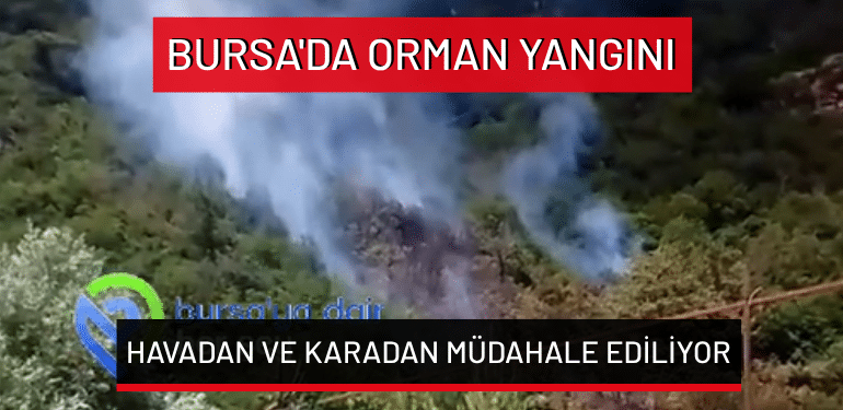 Bursa’da orman yangını: Havadan ve karadan müdahale ediliyor!