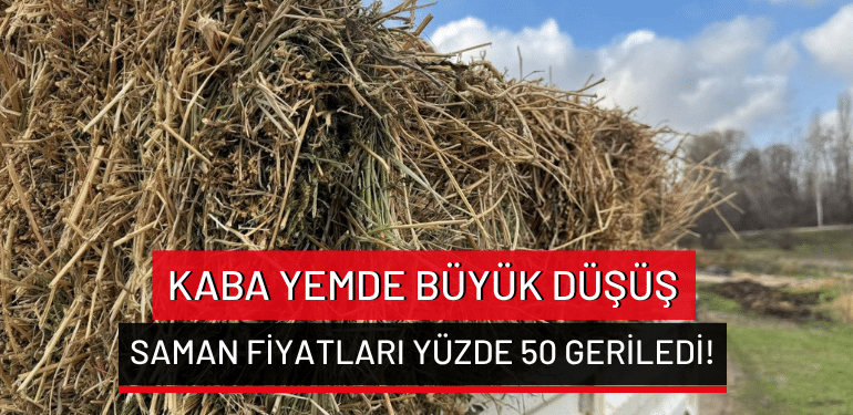 Kaba yemde büyük düşüş: Saman fiyatları yüzde 50 geriledi!