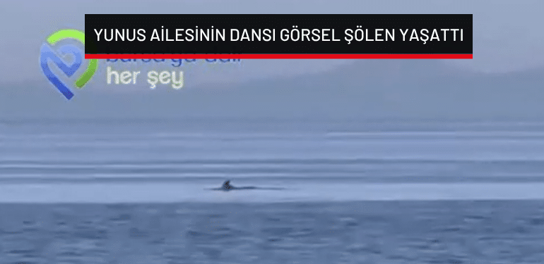 Trilye’de yunus ailesinin dansı görsel şölen yaşattı