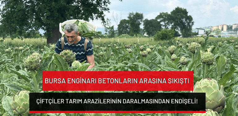 Bursa enginarı betonların arasına sıkıştı: Çiftçiler tarım arazilerinin daralmasından endişeli!