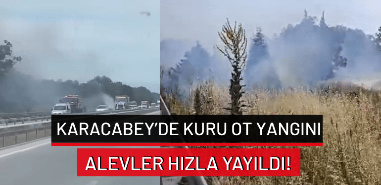 Karacabey’de kuru ot yangını: Alevler hızla yayıldı!