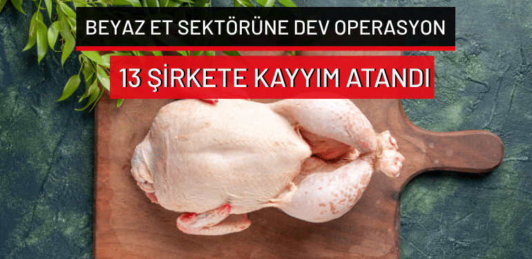 Beyaz et sektörüne dev operasyon: 13 şirkete kayyım atandı