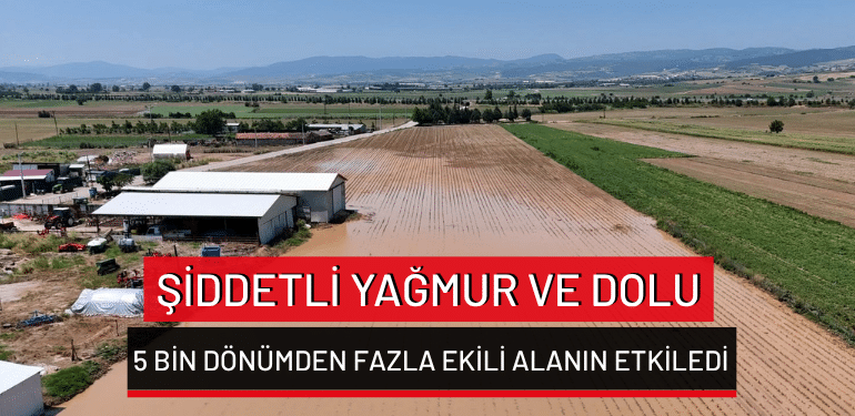 Bursa Yenişehir’de şiddetli yağmur ve dolu 5 bin dönümden fazla ekili alanın etkiledi