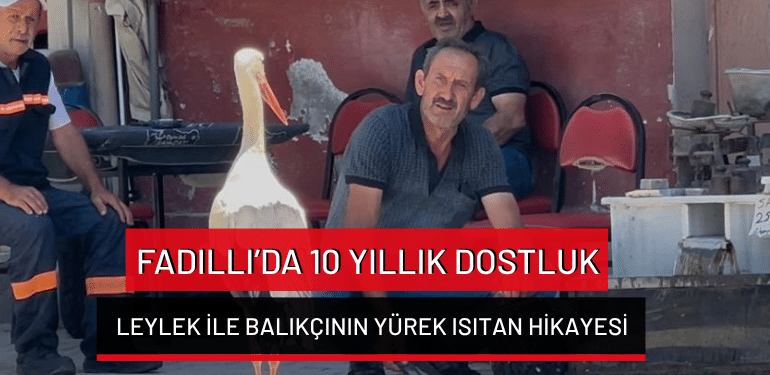 Bursa Fadıllı’da 10 yıllık dostluk: Leylek ile balıkçının yürek ısıtan hikayesi