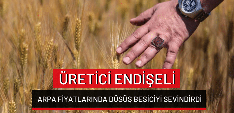 Arpa fiyatlarında düşüş besiciyi sevindirdi…Üretici endişeli