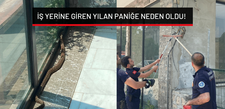 Bursa’da iş yerine giren yılan paniğe neden oldu!