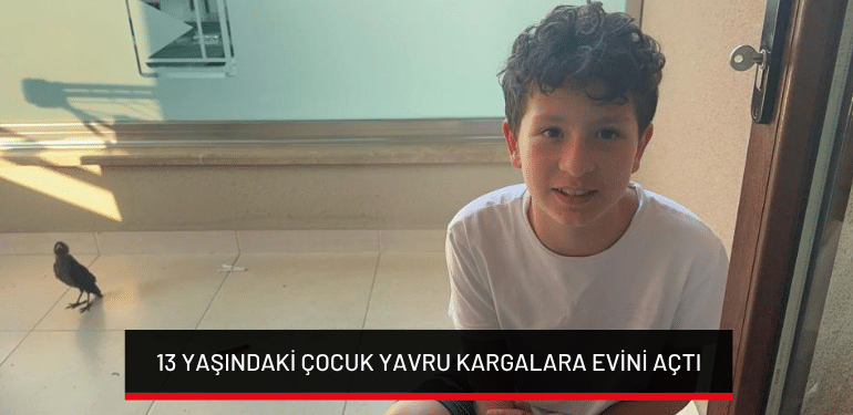 Bursa’da 13 yaşındaki çocuk yavru kargalara evini açtı