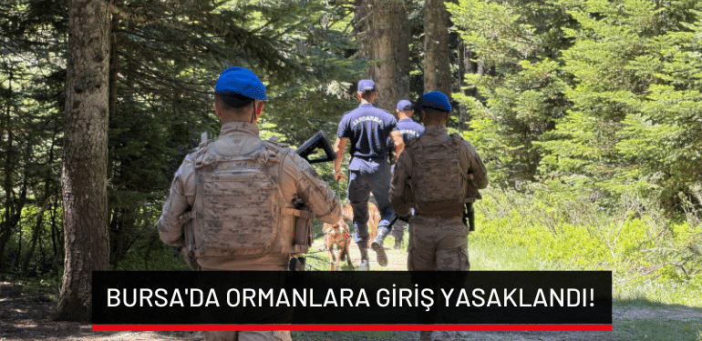 Bursa’da ormanlara giriş yasaklandı!