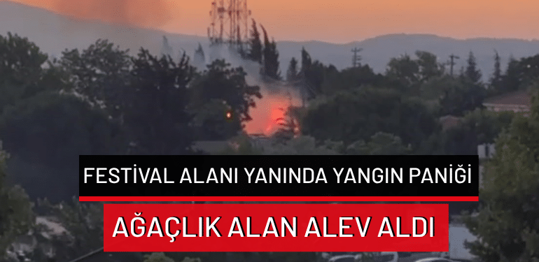 Bursa Kültür Yolu Festivali yanında yangın paniği… Ağaçlık alan alev aldı