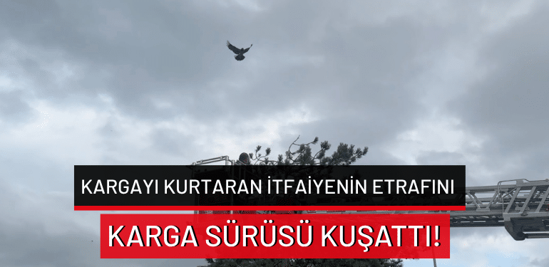 Bursa’da kargayı kurtaran itfaiyenin etrafını karga sürüsü kuşattı!