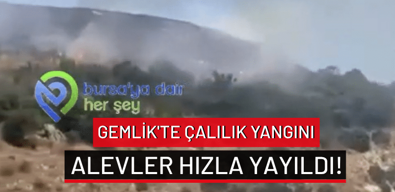 Bursa Gemlik’te çalılık yangını: Alevler hızla yayıldı!