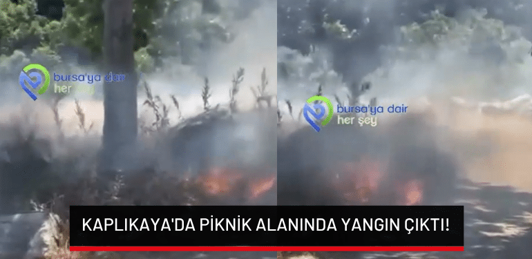 Bursa Kaplıkaya’da piknik alanında yangın çıktı!