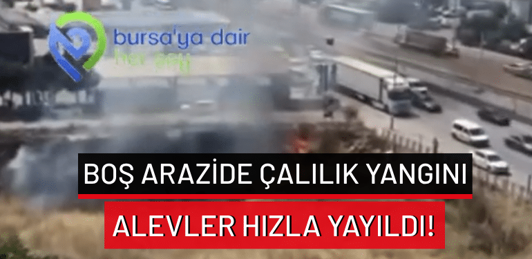 Bursa’da boş arazide çalılık yangını: Alevler hızla yayıldı!