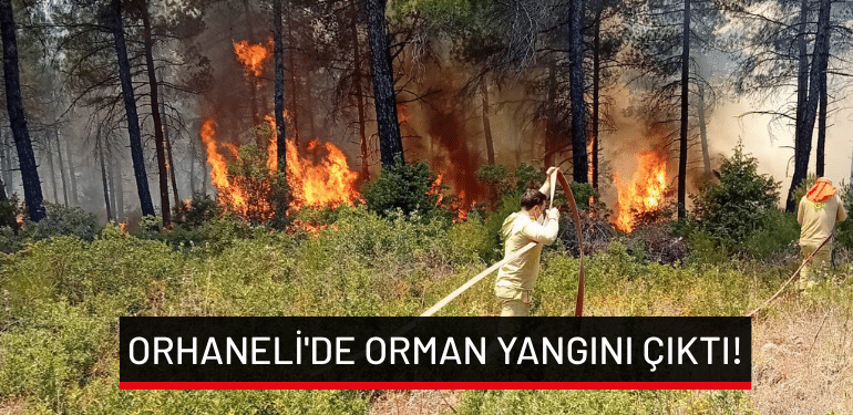 Bursa Orhaneli’de orman yangını çıktı!