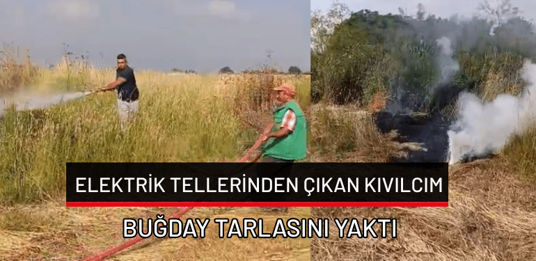 Bursa’da elektrik tellerinden çıkan kıvılcım buğday tarlasını yaktı