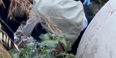 20 METRELİK UÇURUMDAN DÜŞTÜ, YARALIYI SIRTINDA TAŞIYAN İTFAİYECİ YÜREKLERİ ISITTI SEDYENİN ULAŞAMADIĞI YERDE KAHRAMAN İTFAİYECİ DEVREYE GİRDİ
