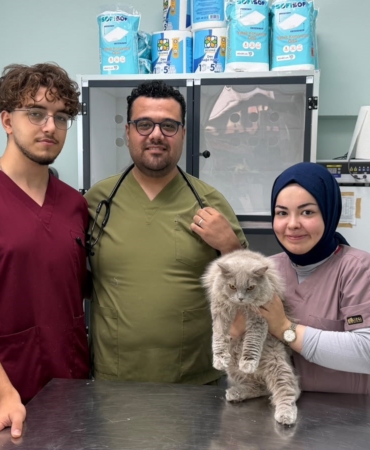 VETERİNERDE DEPREM ETKİSİ YAPAN KEDİ TÜRKİYE'NİN GÜNDEMİNDE VETERİNER TALAT ERGÜN; "7 YILDIR BU MESLEĞİ YAPIYORUM İLK DEFA BÖYLE BİR ŞEY GÖRDÜM"