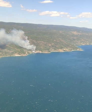 ARMUTLU KAPAKLI HATTINDA ORMAN YANGINI: EKİPLER MÜDAHALEYE BAŞLADI