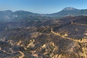 ALANYA'DAKİ ORMAN YANGININDA MÜCADELE İKİNCİ GÜNÜNDE: BÖLGE DRON İLE GÖRÜNTÜLENDİ