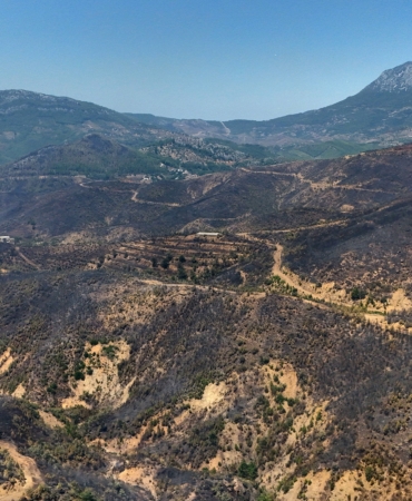 ALANYA'DAKİ ORMAN YANGININDA MÜCADELE İKİNCİ GÜNÜNDE: BÖLGE DRON İLE GÖRÜNTÜLENDİ