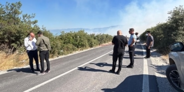 BURSA'DA ORMANLIK ALANDA YANGIN ÇIKTI